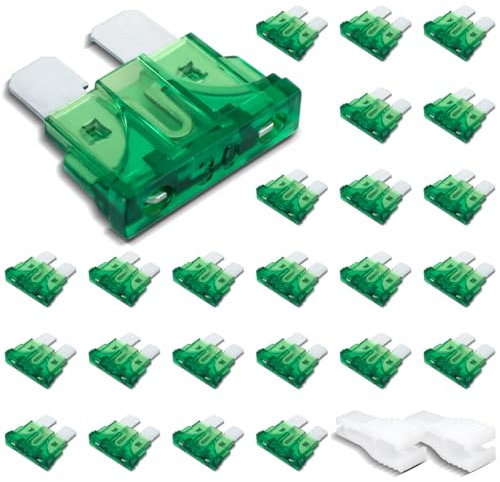 Innfeeltech 25 Stück Standard-Autosicherung, Flachstecksicherung 30A mit 2 Plastikclips für Auto, LKW und Motorrad