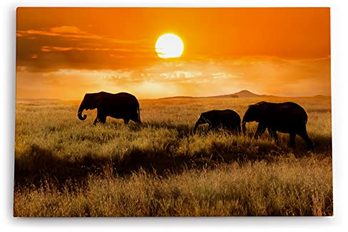 Paul Sinus Wandbilder Deko Kunstdruck 90x60cm Elefanten Elefantenherde Afrika Natur Landschaft Sonne