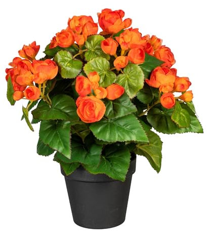Fuchs seit 1895 Künstlicher Begonienbusch im schwarzem Kunststofftopf ca 35 cm in versch. Farben, Farbe:orange