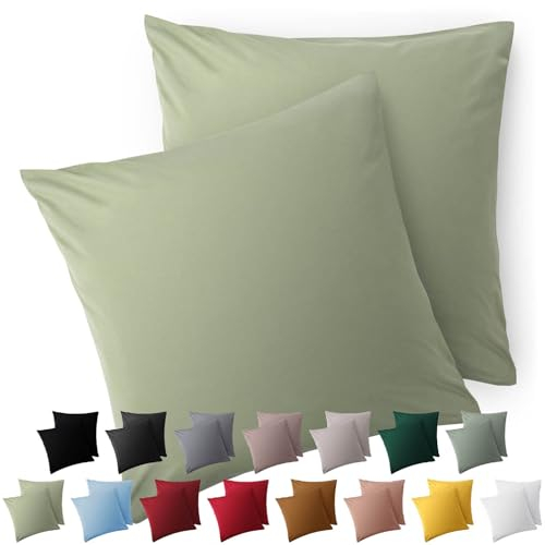 Blumtal Fundas de Almohada 60x60 cm (Juego de 2) - Fundas de cojín de Microfibra para sofá con Cierre de Sobres, Extra Suaves y Lavables, Certificado Oeko-Tex - Verde Claro