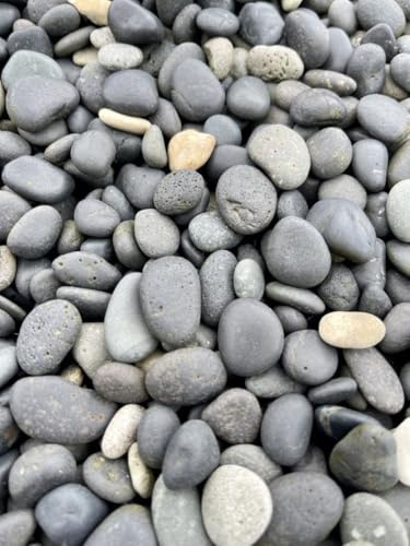 GRDplanten Strandkiesel 8/16 mm – 20 kg