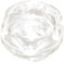 Genuine IGNIS Ofen Glas Lampenabdeckung 481245028007