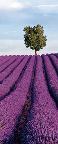A.Monamour Türtapete Selbstklebend Türfolie Türposter 3D Lavendelfeld In Der Provence Frankreich Einsamen Baum Im Hintergrund Vinyl Folie Türdeko Tapete Wandbild Türaufkleber Türtattoo 90 x 200 cm