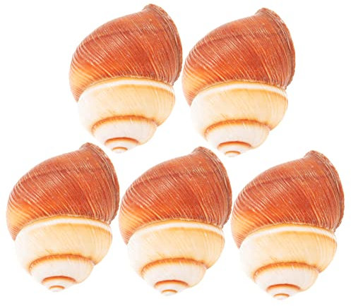 OFFSCH 5pièces Lot de Coquilles Escargots Naturelles Style Français Cuites Au Four Décoratives pour Service Escargots