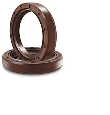 TC Öl-Wellendichtring Skelett-Öldichtringe， 2 Stück TC-Doppellippendichtungen mit Feder-FKM-Öldichtung, ID: 5-12 mm Öldichtung, Dichtungslippe mit Metallskelett-Fluorkautschukbeschichtung(12X22X5)