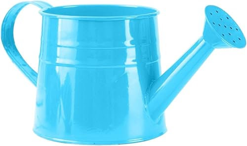Gießkanne Klein, 1L Mini Gießkanne aus Metall, Giesskanne Zimmerpflanzen, Gartengießkanne Blumenkessel Blumentopf Vintage Kleine Vasen für den Balkon, Garten, Home Office, stabil (Blau)