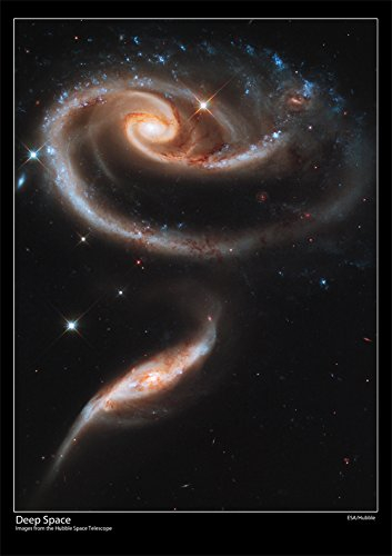 Tiger Moon Hubble Space Teleskop Poster – A Rose Made of Galaxies – Größe A1-84 x 59 cm (ca.) [DS3]