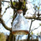 CKB Ltd Wasp Catcher Trap Glass Bottle - Traditional Attractive Hanging Honey Pot Design Insect Catcher Trap Garden Pest Control