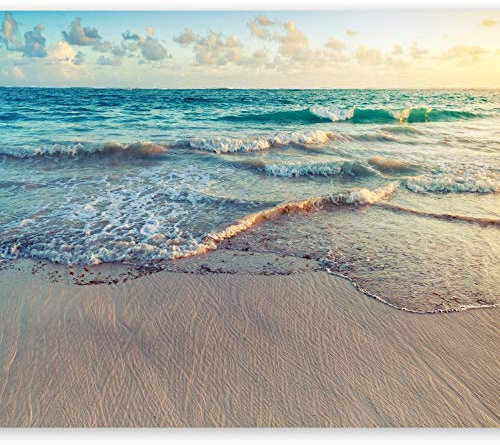 murando Fotomurales Strand Meer 350x256 cm XXL Papel pintado tejido no tejido Decoración de Pared decorativos Murales moderna de Diseno Fotográfico Naturaleza Paisaje c-B-0358-a-a