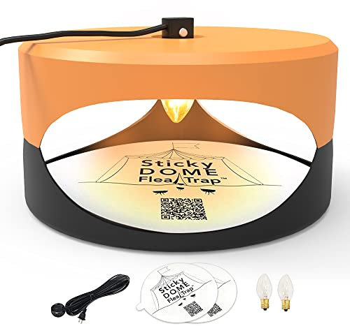 ASPECTEK FA Klebescheiben (Orange-Schwarz)