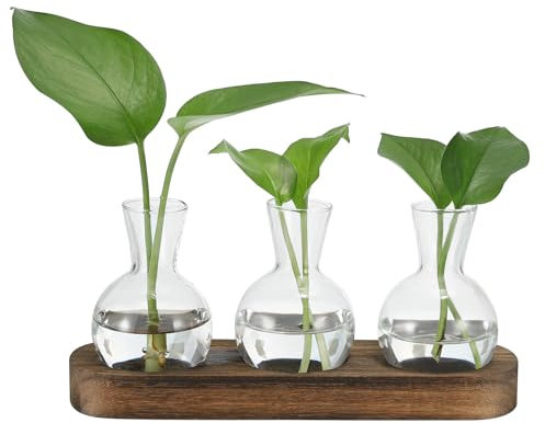 PATIKIL Plant Propagation Stations Glass Vases 9.4x2.6inch, Desktop Plant Terrarium Container with Wooden Tray 3 Bulb Flower Vase for Hydroponic Office Home Decor Plants Indoor