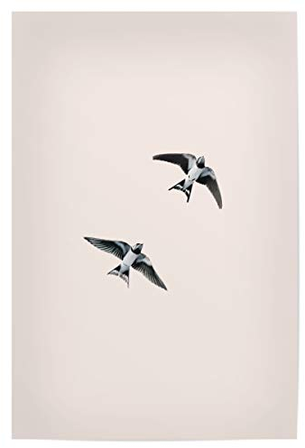 artboxONE Poster 30x20 cm Natur Schwalben im Flug hochwertiger Design Kunstdruck - Bild vögel Boho fliegen