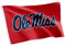 Desert Cactus University of Mississippi Flagge Rebellen Ole Miss U of M Flaggen Banner 100% Polyester Indoor Outdoor 7,6 x 12,7 cm (Design W)