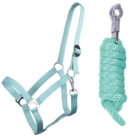 ARBO-INOX Halfter-Set Beginner II Halfter + Führstrick mit Panikhaken verstellbar (Shetty, Ice Green)