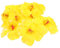 Garneck 10 Stück Künstlicher Hibiskus Hawaii Badezimmerdekoration Hibiskusblüten Künstliche Blumen Lebensechte Kunstblumen Party Dekorativer Hibiskus Gelb Eva