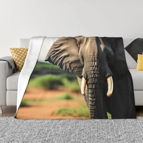 Weiche Fleecedecke mit afrikanischem Elefant, gemütlich, leicht, mikroflauschige Decke für Bett, Couch, Sofa