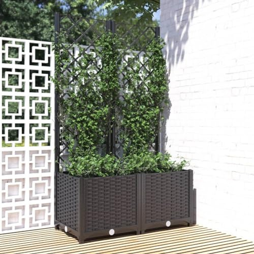 Solivagant Jardinière avec Treillis Noir 80x40x136 cm PP,(7.78 KG)