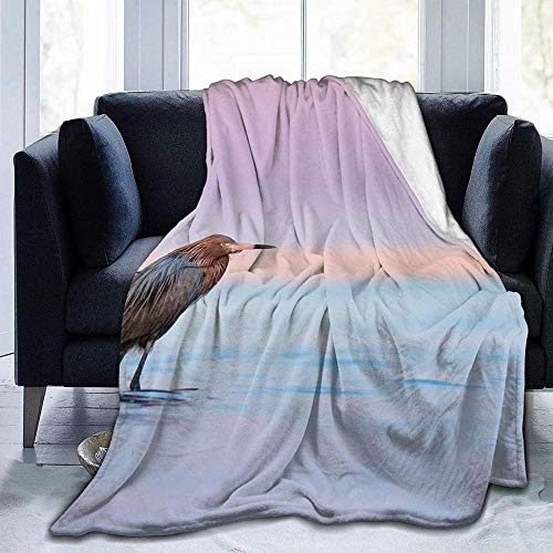 YuLiZP Decke Wohn Kuscheldecken Egret Lake Twilight Dämmerung Sonnenuntergang Wildlife Superweiche,Flauschige,Warme,Feste Bettüberwürfe Für Sofa-Mikrofaserdecken 80X60 Inches