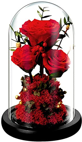 Handgefertigte konservierte echte Rose, konservierte echte Rose, Glaskuppel, ewige Rosenblüte, Geschenke für Geburtstag, Hochzeit, Valentinstag, Muttertag, romantisches Geschenk für Oma, Mutter und