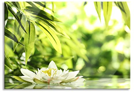 Pixxprint Glasbild, Wandbild aus Echtglas, Weiße Seerose im Wasser Wellness, 100x70 cm, inkl. Aufhängung und Abstandshalter