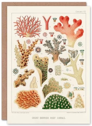 Artery8 William Saville Kent Art Card Great Barrier Reef of Australia Corals