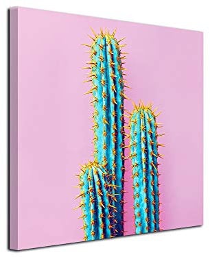DECLINA, Quadro Decorativo da Parete per Soggiorno Moderno, Quadro Decorativo da Parete, Tela Deco Vintage Cactus 30 x 30 cm, Rosa, Canvas, Rosa, 30x30 cm