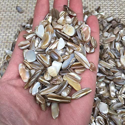 ARrase Pierres précieuses en Cristal de Quartz, Pierres précieuses Naturelles Magiques, Coquille Naturelle, décoration de réservoir de Poisson Reiki décoration de la Chambre (Size : 200g)