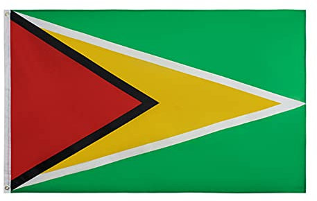 Stormflag Drapeau guyane 3 x 5 ft/90 x 150 cm 90 g de polyester, 2 œillets, 1 œillet dans chaque angle, en métal et double aiguille