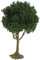 Realistische Mini-bäume Für Eisenbahnlandschaften Künstliche Bäume Für Die Gestaltung Von Miniatur-bonsai-landschaften