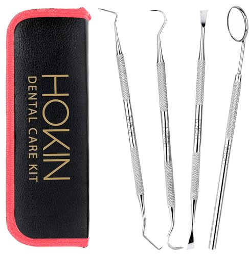 HOKIN Plaque Remover Teeth Cleaning Tool 4 Pcs Dental Care Kit Tooth Filling Repair Set Stainless Steel Dental Tools for Men Women Kids and Pet Care (Cherry Red)