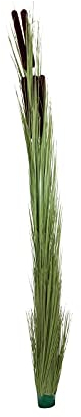 EUROPALMS Schilfgras mit Kolben, künstlich, hellgrün, 152cm