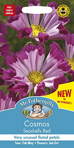 Mr Fothergill’s 20675 Cosmos Seashells Red, Pink
