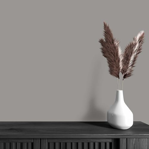 K&L Wall Art Pintura de pared mate para interiores, color gris, protección de pared moderna, 2,5 litros, color gris hormigón