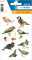 HERMA 3351 Tiere Sticker für Kinder, Aquarell Vögel (30 Aufkleber, Papier, matt) selbstklebend, permanent haftende Motiv Etiketten für Mädchen und Jungen, bunt
