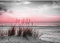 Runa Art Fotomurales Playa y mar Puesta de sol 352 x 250 cm Fondo De Pantalla XXL Moderna Decoración De Pared Sala Cuarto Oficina Salón 9588011b