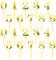 Giantree 0-9 Number For Cake Topper, 20 PCS Numbers Happy Birthday Cake Topper, Shiny Gold Acrylic Number Cake Toppers, for Birthday Party Wedding Anniversary (20)
