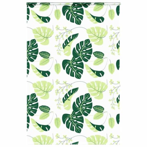 vidaXL Estor Enrollable para Ducha Casete Tela 150x240 cm Ancho 146 cm, persiana para Ducha, Cortina Enrollable para Ducha, persiana Enrollable para Ducha