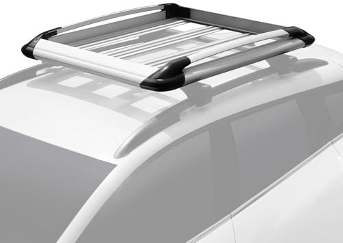 OMAC Gepäck Dachbox Dachkorb kompatibel mit VW Amarok 2010-2020 Aluminium Silber 1tlg
