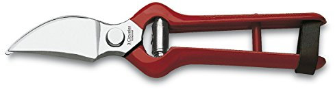 3 Claveles 306 Tijera Podar