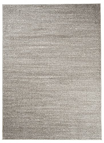 Carpeto Groß Teppich Wohnzimmer 300x400cm Anthrazit Grau Einfarbig Weich | Teppich für Schlafzimmer Büro Esszimmer Eingangsbereich Pflegeleicht Fußbodenheizungsgeeignet Kurzflor Minimalistisch