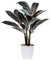 Kunstpflanze Cordyline Fruticosa 63CM Kunstpflanze Groß im Topf Deko für drinnen und draußen, Moderne Dekoration, Dekoration Badezimmer Wohnzimmer Schlafzimmer Balkon