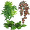 Reptile Plastic Plants Fish Tank Plants Artificial Aquarium Hanging Fake Green Leaves with Sucker Tortoise Plants for Enclosure Reptile Accessories 3PCS