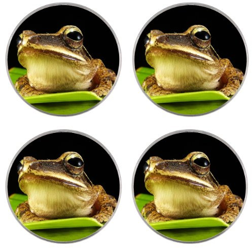 Frog - 80mm Cup/Drink/Glass/Mug Coasters (4 Pack) - Gift/Present