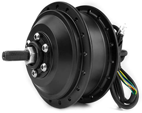 24V 36V 48V 250W Electric Bike Rear Wheel Hub Motor Electric Bicycle Brushless Hub Spokes Motor Electric Hub Motor (36V)