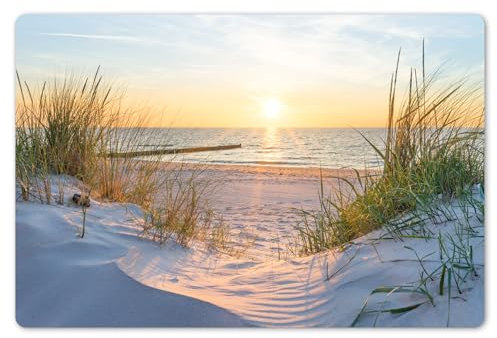 KitchenYeah© Platzsets Abwaschbare Placemats Set 6 45x30 cm Tischsets Platzdeckchen Platzset Tischset Esstisch Telleruntersetzer Waschbar Strand - Sonne - Düne - Gras - Sand - Horizont