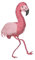 (BOX20) Pinata Pink Flamingo
