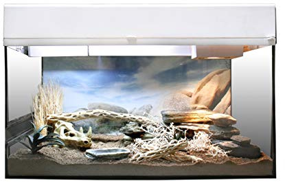 Lucky Reptile Kit de démarrage Gecko du désert 50 cm - kit Complet de Terrarium Haut de Gamme pour Geckos de Petite Taille - kit pouvant accueillir 4 Geckos Maxi - pour débutants en Blanc.