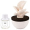 pajoma Raumduft Bambus, Keramikblume, 50 ml