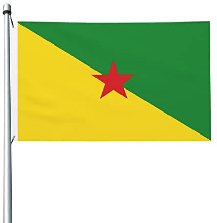 Drapeau de la Guyane française drapeaux 3x5 Ft décoration extérieure drapeau léger bannière maison fête drapeaux cour 3x5 drapeaux