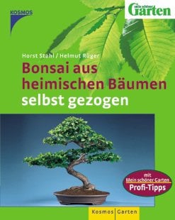 Bonsai aus heimischen Bäumen selbst